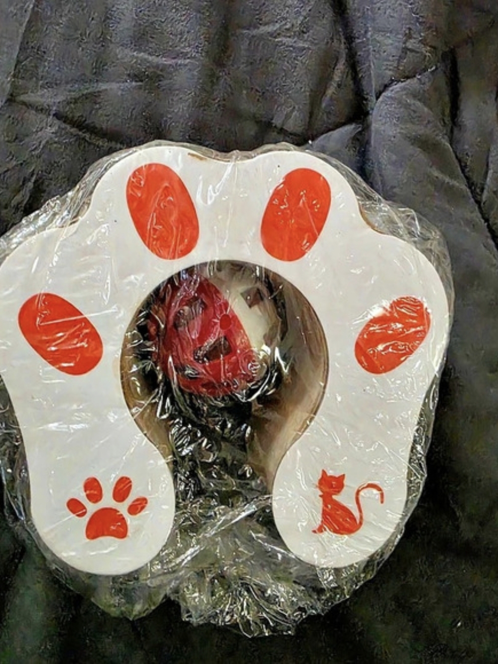 Cat Toy White & Orange